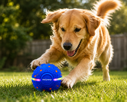 Smart Interactive Dog Ball – The Ultimate Playtime Toy