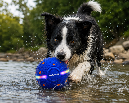 Smart Interactive Dog Ball – The Ultimate Playtime Toy